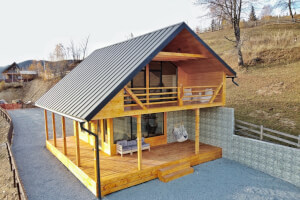 The Cottage Under the Birches